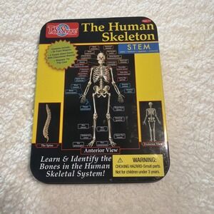 The Human Skeleton Learn & Identify the Bones T.S. Shure in Tin Case